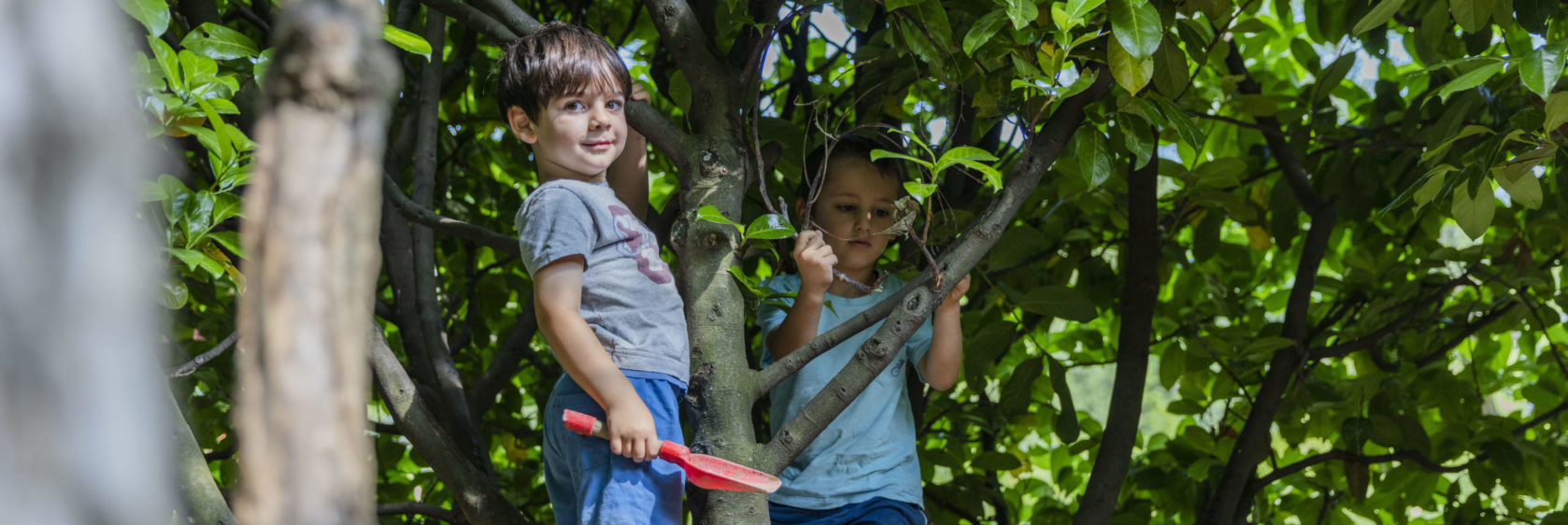 Immerso nella natura il bambino scopre potenzialità e limiti.